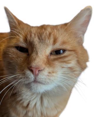 Portrait von Cami